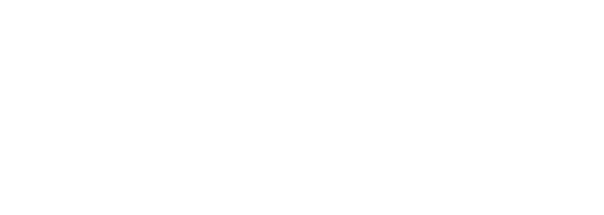TheSyndic